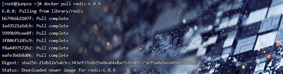 image-20220614181131300