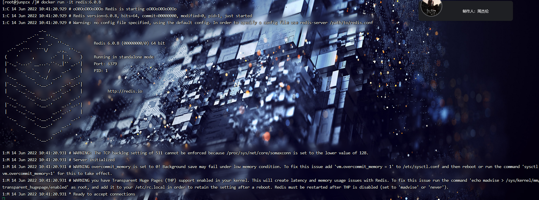 image-20220614184132041